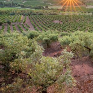 escapada al priorat